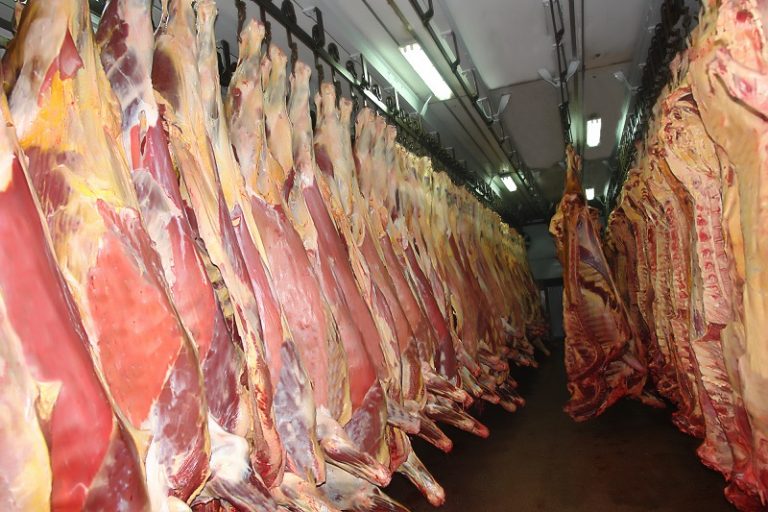 Fierăstraie de tăiat, despicat carcase